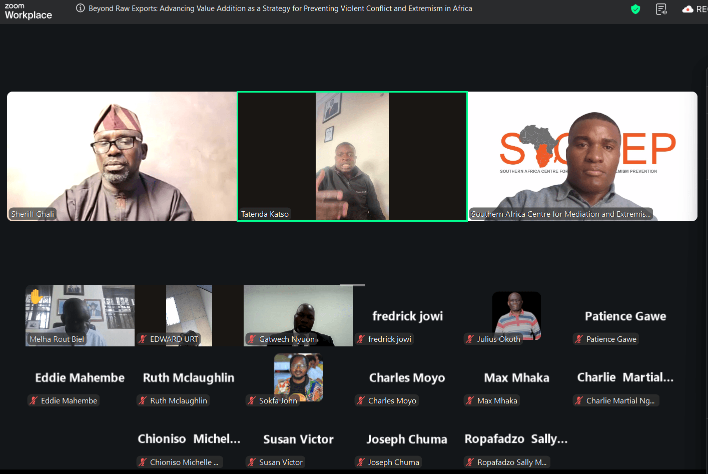 Screenshot from the joint SACMEP and ISPS webinar